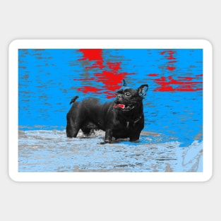 Black dog Sticker